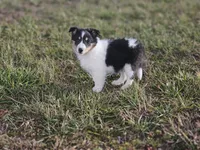 processed/4406ab10-84f0-4380-91a7-435651881f3a/listing/4cc00768-d3ad-4d9f-bda8-701aeeefc0cd/ff021771-c9e1-4b31-bdfe-35ed4a3f1605