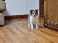 processed/4406ab10-84f0-4380-91a7-435651881f3a/listing/5b64cfa3-cdf3-4bc2-be0b-6ef83b6c275f/04ceb6cb-98c9-4f96-a219-26460b0a8e7f