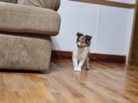 processed/4406ab10-84f0-4380-91a7-435651881f3a/listing/5b64cfa3-cdf3-4bc2-be0b-6ef83b6c275f/36c2d151-1842-4792-a11a-79ff59c68f68