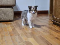 processed/4406ab10-84f0-4380-91a7-435651881f3a/listing/5b64cfa3-cdf3-4bc2-be0b-6ef83b6c275f/4e3cdf43-2f23-4fd6-953d-02821e301c71