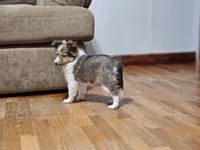 processed/4406ab10-84f0-4380-91a7-435651881f3a/listing/5b64cfa3-cdf3-4bc2-be0b-6ef83b6c275f/7a98b30b-70e8-4163-a4ce-6edfb492f025