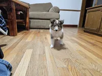 processed/4406ab10-84f0-4380-91a7-435651881f3a/listing/5c6a3581-0a45-492c-ba9b-bd18265465cd/046d5d2f-61aa-438e-b156-343d3df16fc3