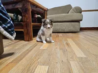 processed/4406ab10-84f0-4380-91a7-435651881f3a/listing/5c6a3581-0a45-492c-ba9b-bd18265465cd/186273ff-8f4e-47fa-a34e-21ddb9e88f90