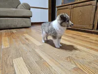 processed/4406ab10-84f0-4380-91a7-435651881f3a/listing/5c6a3581-0a45-492c-ba9b-bd18265465cd/2aff253d-5529-45e8-9e32-91bcda257595