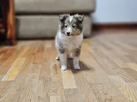 processed/4406ab10-84f0-4380-91a7-435651881f3a/listing/5c6a3581-0a45-492c-ba9b-bd18265465cd/34a73ebc-ed9d-4c5e-82d3-a4a074129267