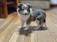 processed/4406ab10-84f0-4380-91a7-435651881f3a/listing/5c6a3581-0a45-492c-ba9b-bd18265465cd/a450ca1b-8bdd-4201-8be1-03e26284de92