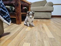 processed/4406ab10-84f0-4380-91a7-435651881f3a/listing/5c6a3581-0a45-492c-ba9b-bd18265465cd/a460aeef-149e-413d-b83d-80df7e1579a2