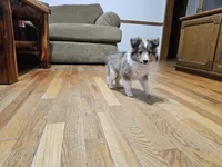 processed/4406ab10-84f0-4380-91a7-435651881f3a/listing/5c6a3581-0a45-492c-ba9b-bd18265465cd/a806c8e5-3bf9-442a-bc59-f46eafecfcfd