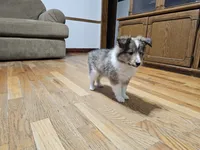 processed/4406ab10-84f0-4380-91a7-435651881f3a/listing/5c6a3581-0a45-492c-ba9b-bd18265465cd/b548c12c-7521-46e8-bdd3-f170d927b356