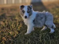 processed/4406ab10-84f0-4380-91a7-435651881f3a/listing/6bcca226-7034-4ab8-acb8-9c7231b0822c/0b1b0cbb-2325-45c9-985c-04f321d94cc3