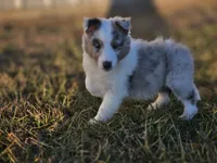 processed/4406ab10-84f0-4380-91a7-435651881f3a/listing/6bcca226-7034-4ab8-acb8-9c7231b0822c/54a50a9c-f579-474e-a297-c691a61056e0