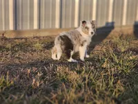 processed/4406ab10-84f0-4380-91a7-435651881f3a/listing/6bcca226-7034-4ab8-acb8-9c7231b0822c/68581c88-e80d-4580-bfbb-3daadc78a436