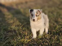 processed/4406ab10-84f0-4380-91a7-435651881f3a/listing/6bcca226-7034-4ab8-acb8-9c7231b0822c/845602a0-8a97-4de5-b197-7ab8c6ebfa0a