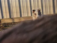 processed/4406ab10-84f0-4380-91a7-435651881f3a/listing/6bcca226-7034-4ab8-acb8-9c7231b0822c/9e773721-ad0b-4f63-b2f8-bc5028af7787