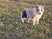 processed/4406ab10-84f0-4380-91a7-435651881f3a/listing/6bcca226-7034-4ab8-acb8-9c7231b0822c/b48c32cb-2b01-48b7-98bd-8734da88d711