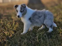 processed/4406ab10-84f0-4380-91a7-435651881f3a/listing/6bcca226-7034-4ab8-acb8-9c7231b0822c/f86d45ba-ae4a-4533-955d-b1b29a1536bf