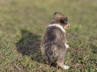 processed/4406ab10-84f0-4380-91a7-435651881f3a/listing/799f263c-6341-4365-a4e4-e93194d0f181/264c71e7-6985-42c3-b69f-29f1e287ace5