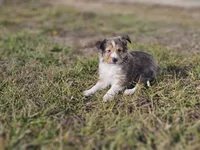 processed/4406ab10-84f0-4380-91a7-435651881f3a/listing/799f263c-6341-4365-a4e4-e93194d0f181/272bea8f-f479-4b02-b624-f16603e393dc