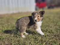 processed/4406ab10-84f0-4380-91a7-435651881f3a/listing/799f263c-6341-4365-a4e4-e93194d0f181/689332f6-6170-4476-9890-535d75c2532d