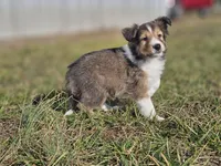 processed/4406ab10-84f0-4380-91a7-435651881f3a/listing/799f263c-6341-4365-a4e4-e93194d0f181/876dcf29-2b51-41ec-b475-33520d1c9c8b