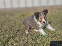 processed/4406ab10-84f0-4380-91a7-435651881f3a/listing/799f263c-6341-4365-a4e4-e93194d0f181/bb44a78b-4899-4873-9593-ad7c83305ac6