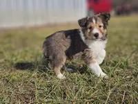 processed/4406ab10-84f0-4380-91a7-435651881f3a/listing/799f263c-6341-4365-a4e4-e93194d0f181/bd4807c4-8904-49f8-aaac-d5aa14818b72