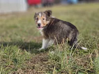 processed/4406ab10-84f0-4380-91a7-435651881f3a/listing/799f263c-6341-4365-a4e4-e93194d0f181/bd9e0c92-c368-4b51-84a6-93b5375432b5