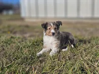 processed/4406ab10-84f0-4380-91a7-435651881f3a/listing/799f263c-6341-4365-a4e4-e93194d0f181/c2db147c-da43-424f-9ec8-159e77807ac0