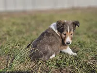 processed/4406ab10-84f0-4380-91a7-435651881f3a/listing/799f263c-6341-4365-a4e4-e93194d0f181/c9caa102-bb04-414c-b8e0-aa8c0c2e3305