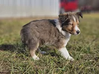 processed/4406ab10-84f0-4380-91a7-435651881f3a/listing/799f263c-6341-4365-a4e4-e93194d0f181/e3b93e21-4c3e-4b6b-a90c-d134db2c23d9