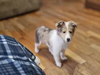 processed/4406ab10-84f0-4380-91a7-435651881f3a/listing/a4d2f08b-fe64-4a37-9aa4-c55953d919ba/28154418-67d6-47e5-bdb9-39079e21f875