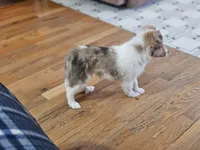 processed/4406ab10-84f0-4380-91a7-435651881f3a/listing/a4d2f08b-fe64-4a37-9aa4-c55953d919ba/28b72806-e01b-477e-bb07-89242f28ab68