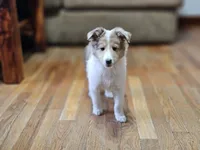 processed/4406ab10-84f0-4380-91a7-435651881f3a/listing/a4d2f08b-fe64-4a37-9aa4-c55953d919ba/3b2e3231-fc36-486c-b61f-344f71e549d9