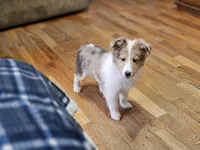 processed/4406ab10-84f0-4380-91a7-435651881f3a/listing/a4d2f08b-fe64-4a37-9aa4-c55953d919ba/95b8f349-4c0f-4ed2-bea7-cdb3e0e28568