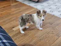 processed/4406ab10-84f0-4380-91a7-435651881f3a/listing/a4d2f08b-fe64-4a37-9aa4-c55953d919ba/98aefb41-37a7-429b-89a8-2dcd607ce92a