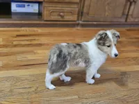 processed/4406ab10-84f0-4380-91a7-435651881f3a/listing/a4d2f08b-fe64-4a37-9aa4-c55953d919ba/b1390627-0138-4b74-bac1-3355a226588c