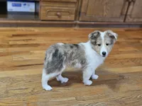 processed/4406ab10-84f0-4380-91a7-435651881f3a/listing/a4d2f08b-fe64-4a37-9aa4-c55953d919ba/bedd8e19-6bf7-42e0-bde0-d5176d3da763