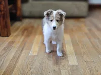 processed/4406ab10-84f0-4380-91a7-435651881f3a/listing/a4d2f08b-fe64-4a37-9aa4-c55953d919ba/c485511c-24d7-41b2-8561-104cf53fcb43