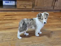 processed/4406ab10-84f0-4380-91a7-435651881f3a/listing/a4d2f08b-fe64-4a37-9aa4-c55953d919ba/ef37cbd0-0b92-4354-a80d-27b65518a47e