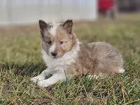 processed/4406ab10-84f0-4380-91a7-435651881f3a/listing/b8d9f0a2-b6a8-493f-957f-f37fda4bd88c/28ead56c-1413-4243-98d7-23b7ee2f8804