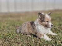 processed/4406ab10-84f0-4380-91a7-435651881f3a/listing/b8d9f0a2-b6a8-493f-957f-f37fda4bd88c/67033461-7832-4ee5-baa5-f4435b387355