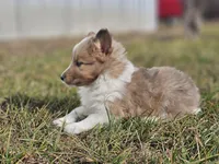 processed/4406ab10-84f0-4380-91a7-435651881f3a/listing/b8d9f0a2-b6a8-493f-957f-f37fda4bd88c/6bf8d645-e378-419a-9fd8-92521a155395