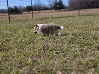 processed/4406ab10-84f0-4380-91a7-435651881f3a/listing/b8d9f0a2-b6a8-493f-957f-f37fda4bd88c/6f8a1b1d-f956-4080-8c5f-488620fa3dfa