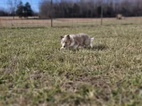 processed/4406ab10-84f0-4380-91a7-435651881f3a/listing/b8d9f0a2-b6a8-493f-957f-f37fda4bd88c/81755957-a7fc-4f90-a060-b8f4ad9677a3