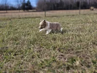 processed/4406ab10-84f0-4380-91a7-435651881f3a/listing/b8d9f0a2-b6a8-493f-957f-f37fda4bd88c/a154b3fa-a3b7-400e-870b-22248ec650f6