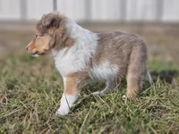 processed/4406ab10-84f0-4380-91a7-435651881f3a/listing/c7130d0e-55eb-4a6e-b1ca-815f6ce3cf5c/1537c044-b295-4e3d-8c7c-b50f42d34ef0