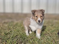 processed/4406ab10-84f0-4380-91a7-435651881f3a/listing/c7130d0e-55eb-4a6e-b1ca-815f6ce3cf5c/1b5aadb8-ddb9-4edf-8d03-214685c52beb