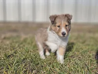 processed/4406ab10-84f0-4380-91a7-435651881f3a/listing/c7130d0e-55eb-4a6e-b1ca-815f6ce3cf5c/201a35f5-5599-4752-aed7-51dcdd611f49