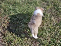 processed/4406ab10-84f0-4380-91a7-435651881f3a/listing/c7130d0e-55eb-4a6e-b1ca-815f6ce3cf5c/48932f0d-bd73-4ffd-b5db-e1dadc1146a7