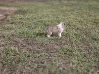 processed/4406ab10-84f0-4380-91a7-435651881f3a/listing/c7130d0e-55eb-4a6e-b1ca-815f6ce3cf5c/6867a763-c3aa-4a5e-b884-1df430a1261e